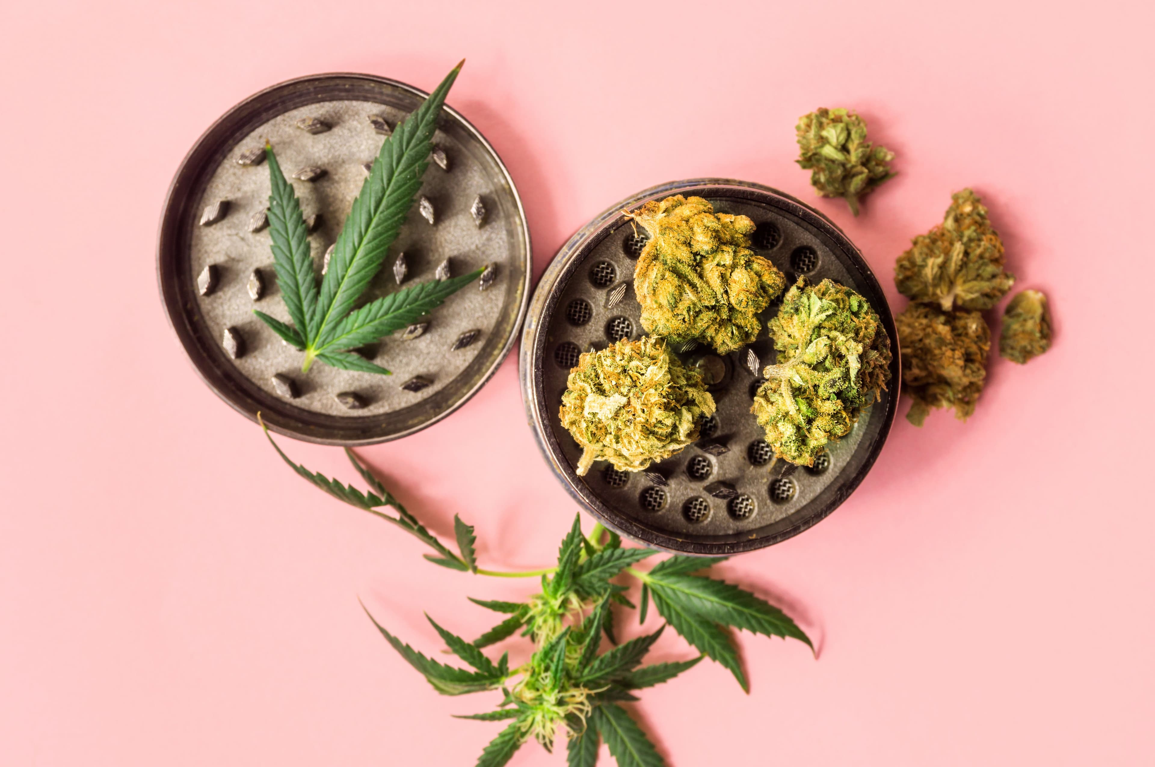 Cannabis Labels Explained: A Flushing Shopper's Guide to Reading the Fine Print