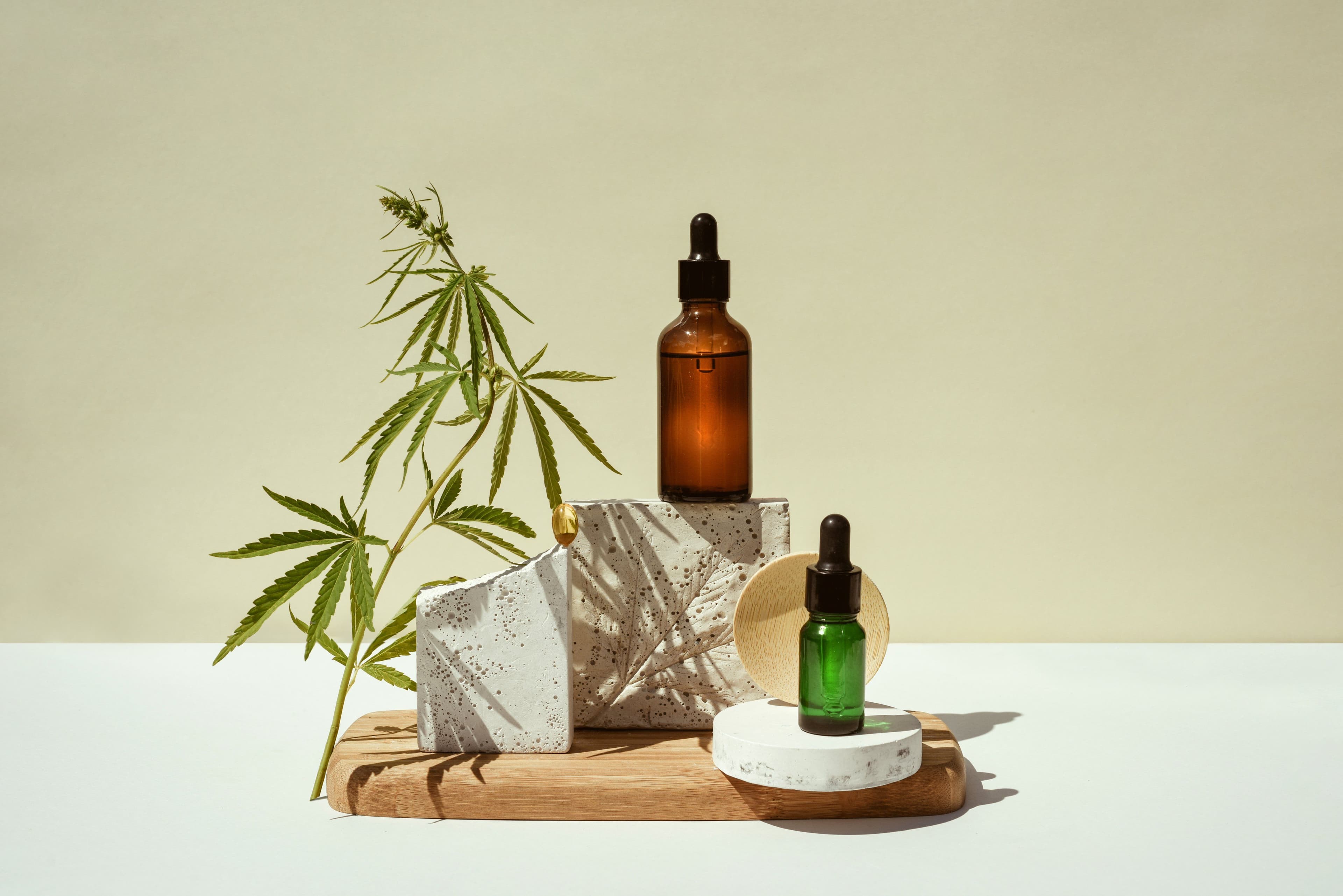 What to Expect at a Licensed Dispensary in Flushing, Queens